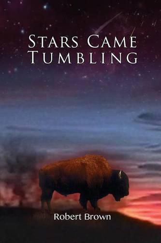 Cover image for Stars Came Tumbling