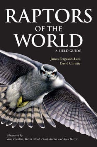 Cover image for Raptors of the World: A Field Guide