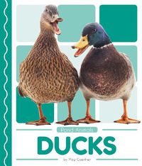 Cover image for Pond Animals: Ducks