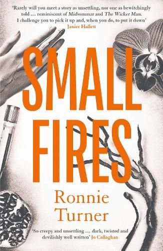 Cover image for Small Fires