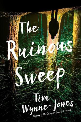 Cover image for The Ruinous Sweep