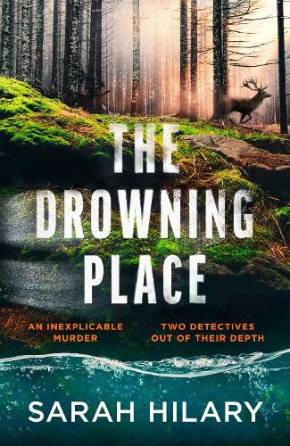 Cover image for The Drowning Place