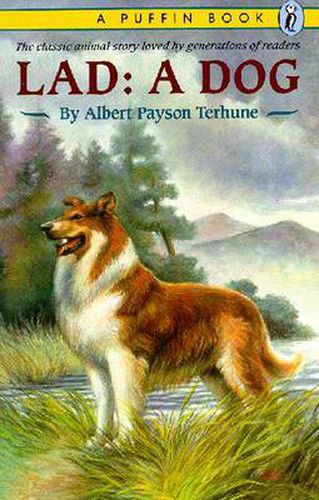 Cover image for Lad: A Dog