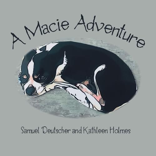 Cover image for A Macie Adventure