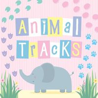 Cover image for Animal Tracks