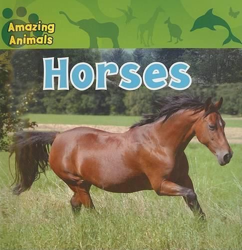 Cover image for Horses