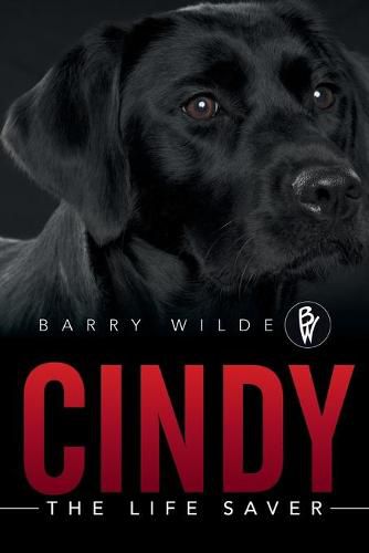 Cover image for Cindy: The Life Saver