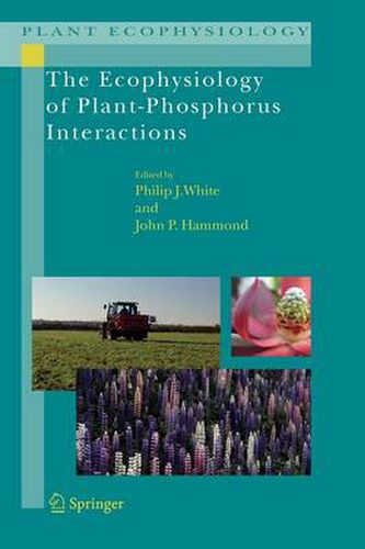 The Ecophysiology of Plant-Phosphorus Interactions