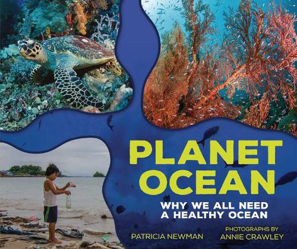 Planet Ocean: Why we all need a healthy ocean