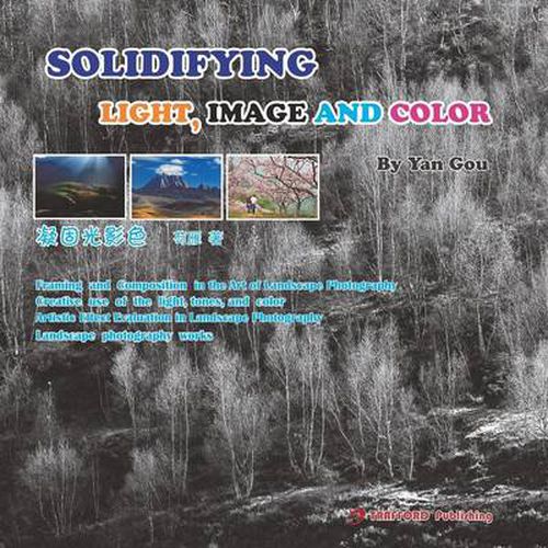 Cover image for Solidifying Light, Image and Color