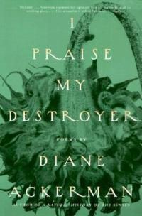 Cover image for I Praise My Destroyer: Poems