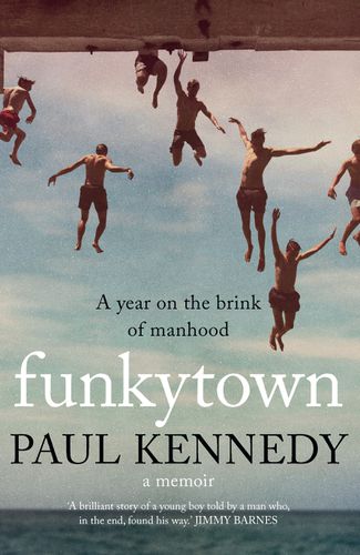 Cover image for Funkytown