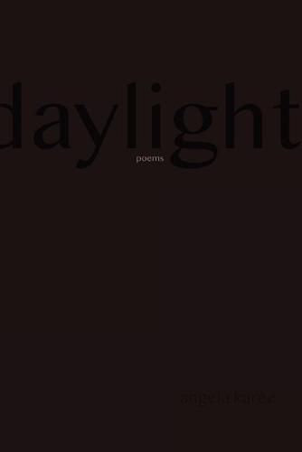 Cover image for Daylight