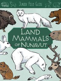 Cover image for Junior Field Guide: Land Mammals: English Edition