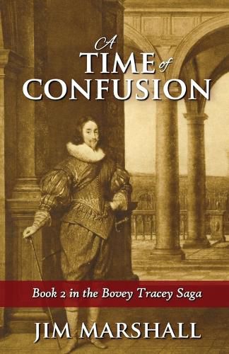 Cover image for A Time of Confusion