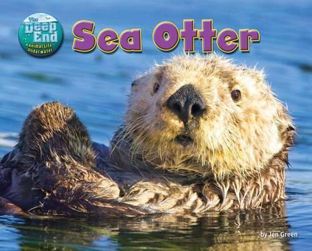 Sea Otter