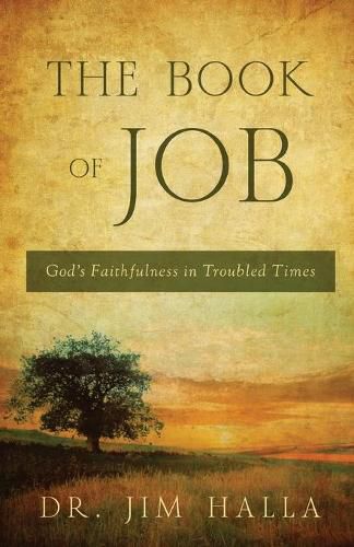 Cover image for The Book of Job: God's Faithfulness in Troubled Times