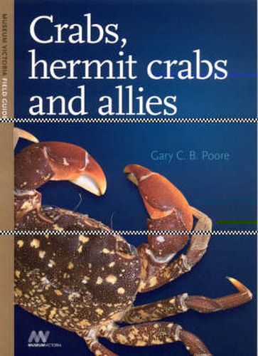 Cover image for Crabs, Hermit Crabs and Allies