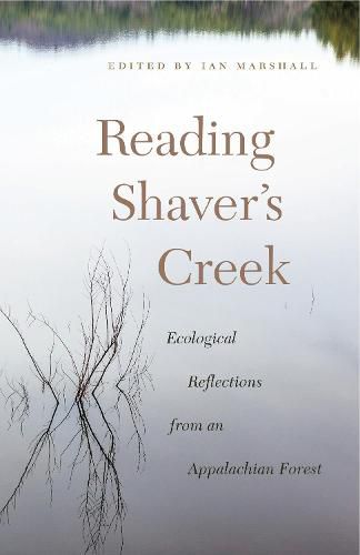 Reading Shaver's Creek: Ecological Reflections from an Appalachian Forest