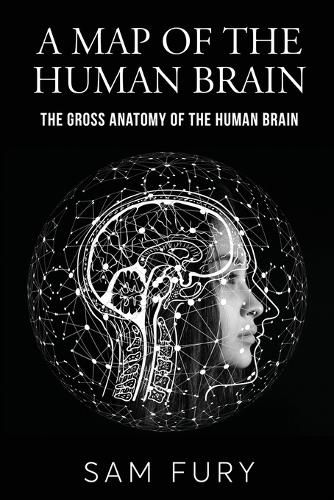 Cover image for A Map of the Human Brain