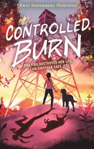 Cover image for Controlled Burn