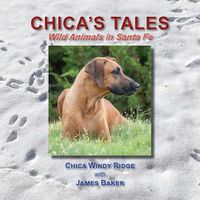 Cover image for Chica's Tales, Wild Animals in Santa Fe