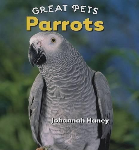 Cover image for Parrots