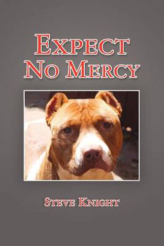 Cover image for Expect No Mercy