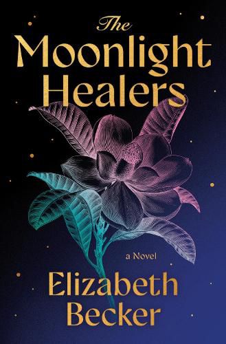 Cover image for The Moonlight Healers