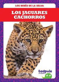 Cover image for Los Jaguares Cachorros (Jaguar Cubs)