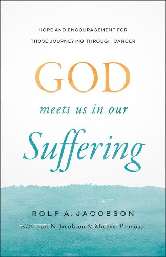 Cover image for God Meets Us in Our Suffering