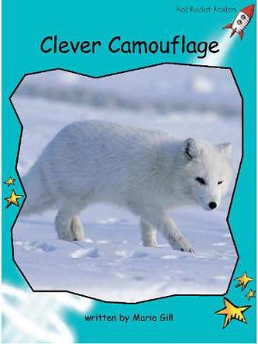 Cover image for Clever Camouflage: Us English Edition