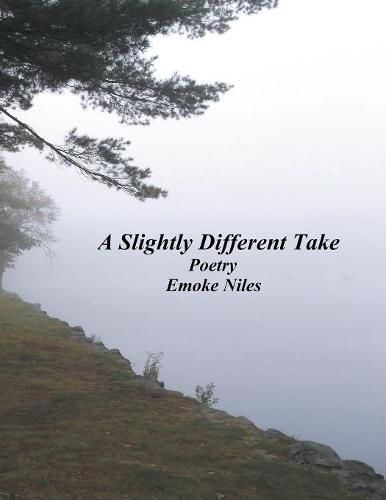 Cover image for A Slightly Different Take