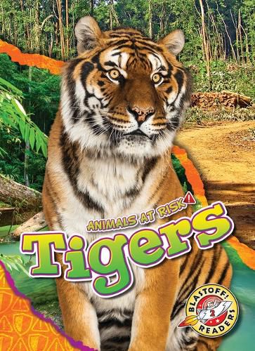 Cover image for Tigers