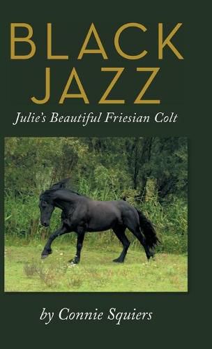 Cover image for Black Jazz: Julie's Beautiful Friesian Colt