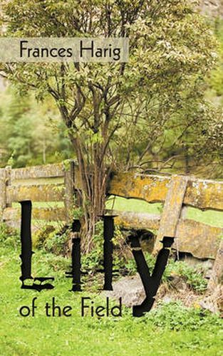 Cover image for Lily of the Field