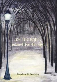 Cover image for In the Light,Beautiful Things