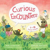 Cover image for Curious Encounters: 1 to 13 Forest Friends