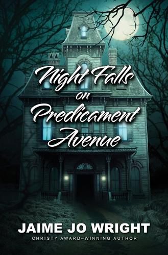 Cover image for Night Falls on Predicament Avenue