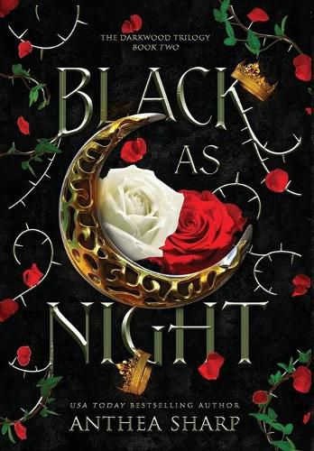 Cover image for Black as Night: A Dark Elf Fairytale