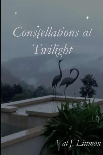 Cover image for Constellations at Twilight