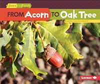 Cover image for From Acorn to Oak Tree