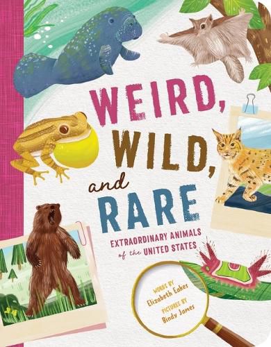 Cover image for Weird, Wild, and Rare