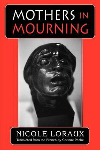 Cover image for Mothers in Mourning