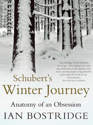 Cover image for Schubert's Winter Journey: Anatomy of an Obsession