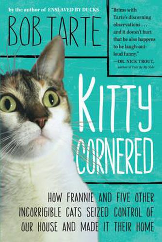 Cover image for Kitty Cornered: How Frannie and Five Other Incorrigible Cats Seized Control of Our House and Made it Their Home