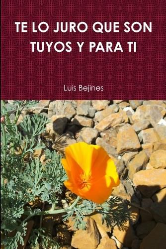 Cover image for Te Juro Que Son Tuyos Y Para Ti