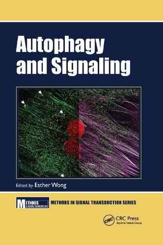 Cover image for Autophagy and Signaling