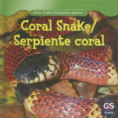 Cover image for Coral Snake/Serpiente Coral