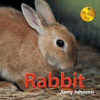 Cover image for Rabbit